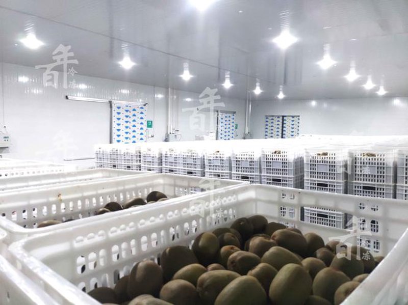 气调保鲜：现代食品安全的绿色锁链