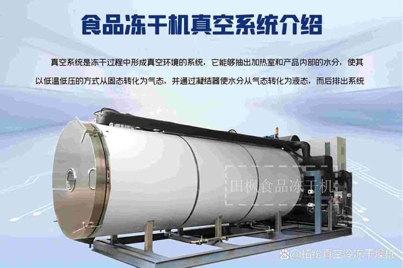 气调保鲜：食物的新鲜守护者